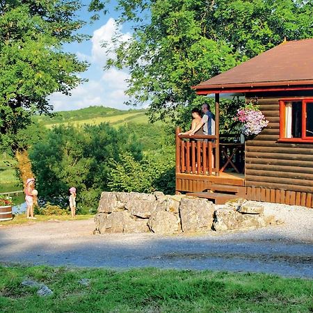 Garnffrwd Park Hotell Llanddarog Exteriör bild