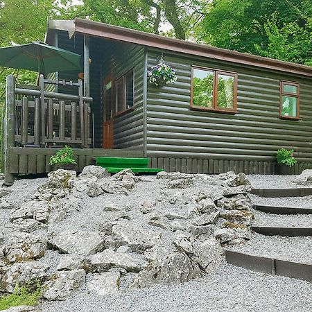 Garnffrwd Park Hotell Llanddarog Exteriör bild